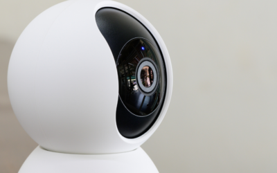 Pet Cams & Peace Of Mind