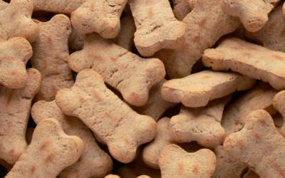 Dog Treats 101