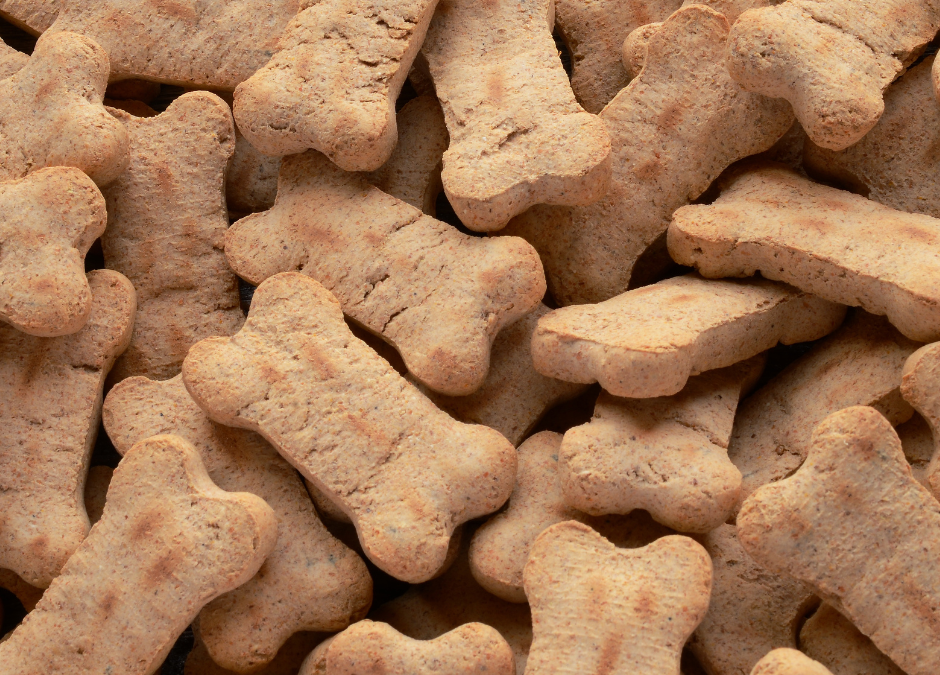 Dog Treats 101