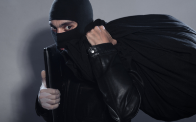 Pet Theft Awareness Day