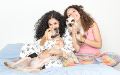 Responsible Pet Owners Month