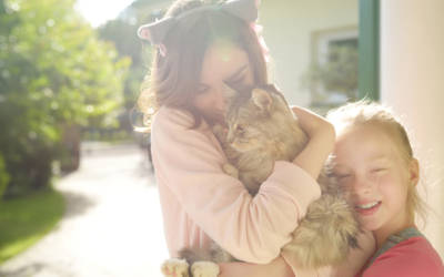 National Hug Your Cat Day