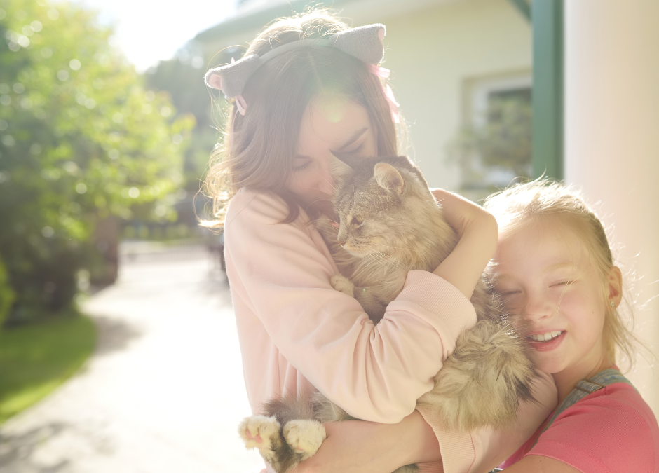National Hug Your Cat Day
