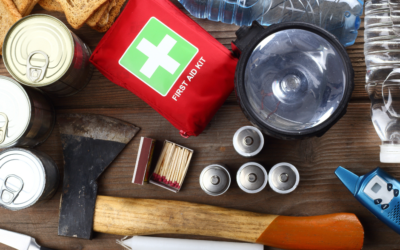 National Pet Preparedness Month