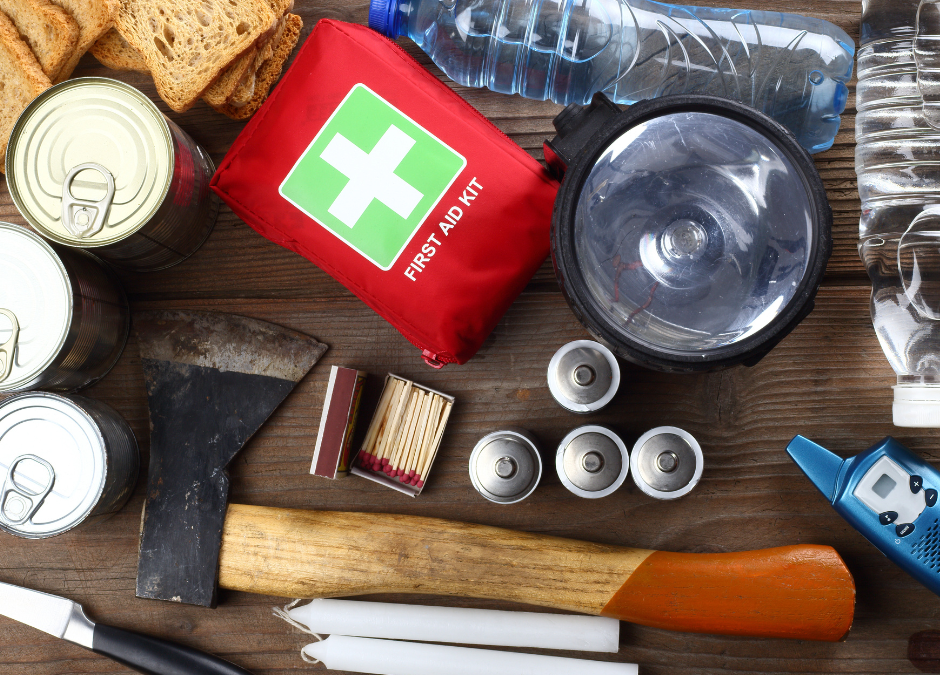 National Pet Preparedness Month