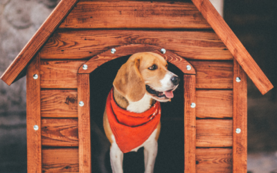 Dog House Repair Month