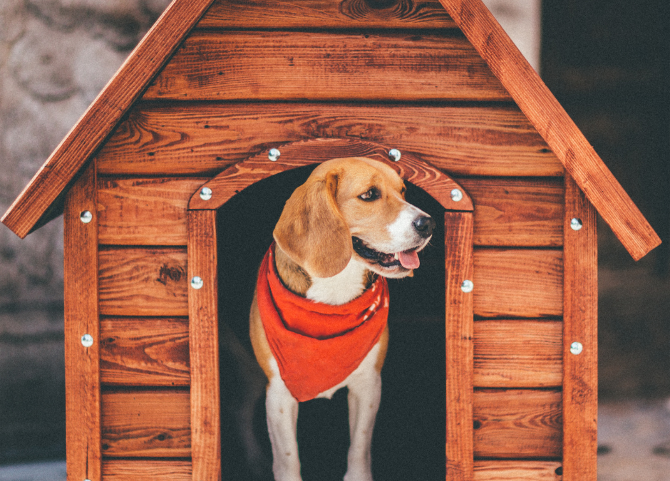 Dog House Repair Month