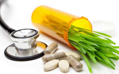 Holistic Healing For Your Pet