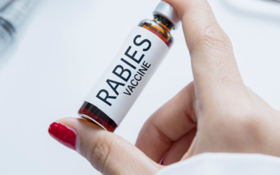 World Rabies Day
