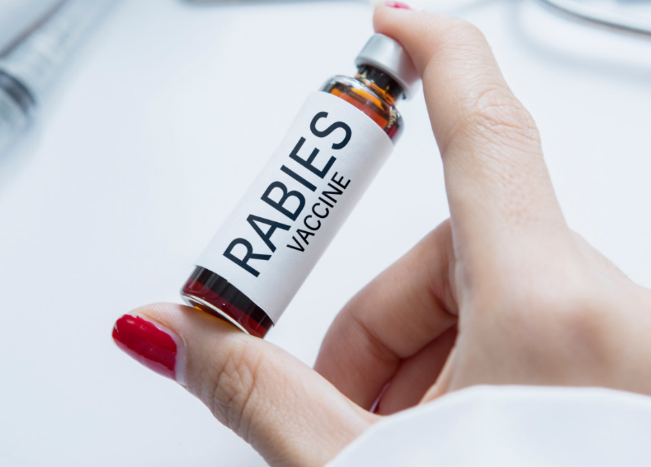 World Rabies Day