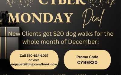 Cyber Monday Dog Walk Deal