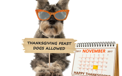 Turkey And Your Pets