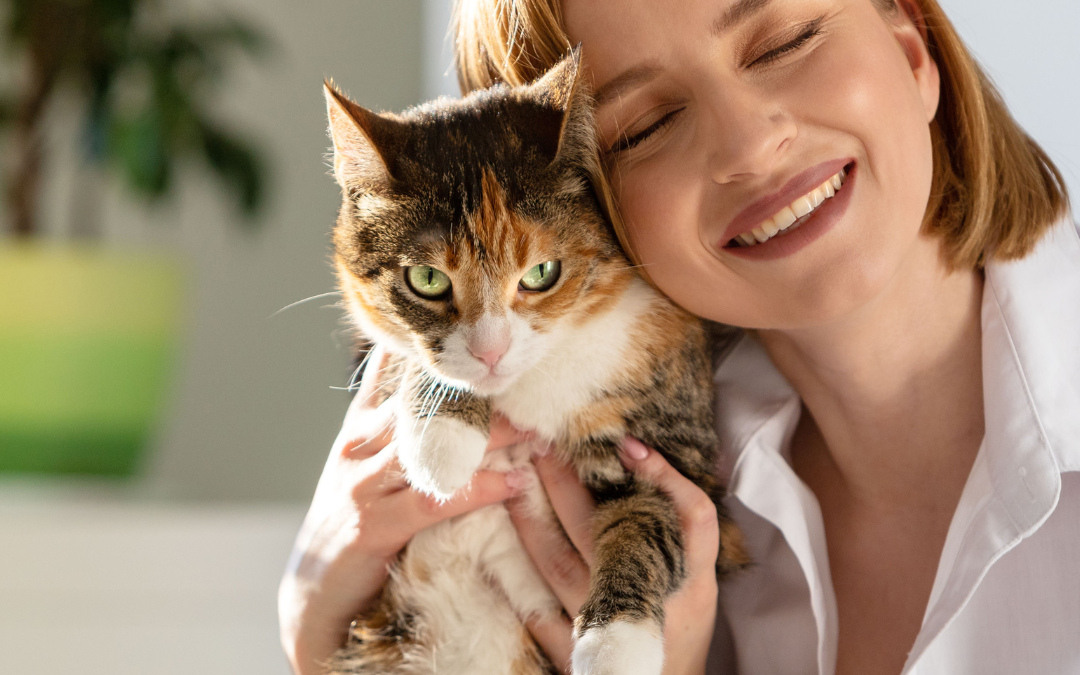 Do Cats Like To Be Hugged?