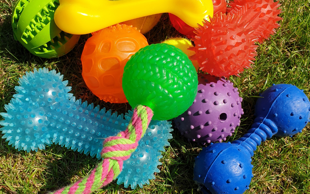 Our Favorite Places To Shop For Pet Toys