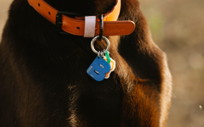 National Pet I.D. Week