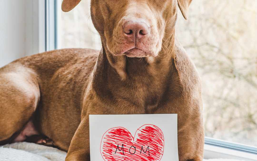 Mother’s Day For Dogs
