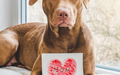 Mother’s Day For Dogs
