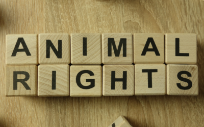Animal Rights Awareness Week