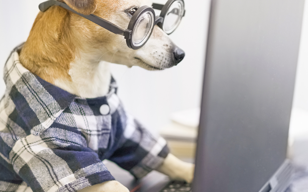 Best New Tech For Dogs Of 2023