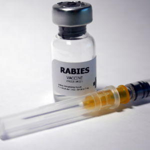 Why vaccines, like the Rabies vaccine, are so important