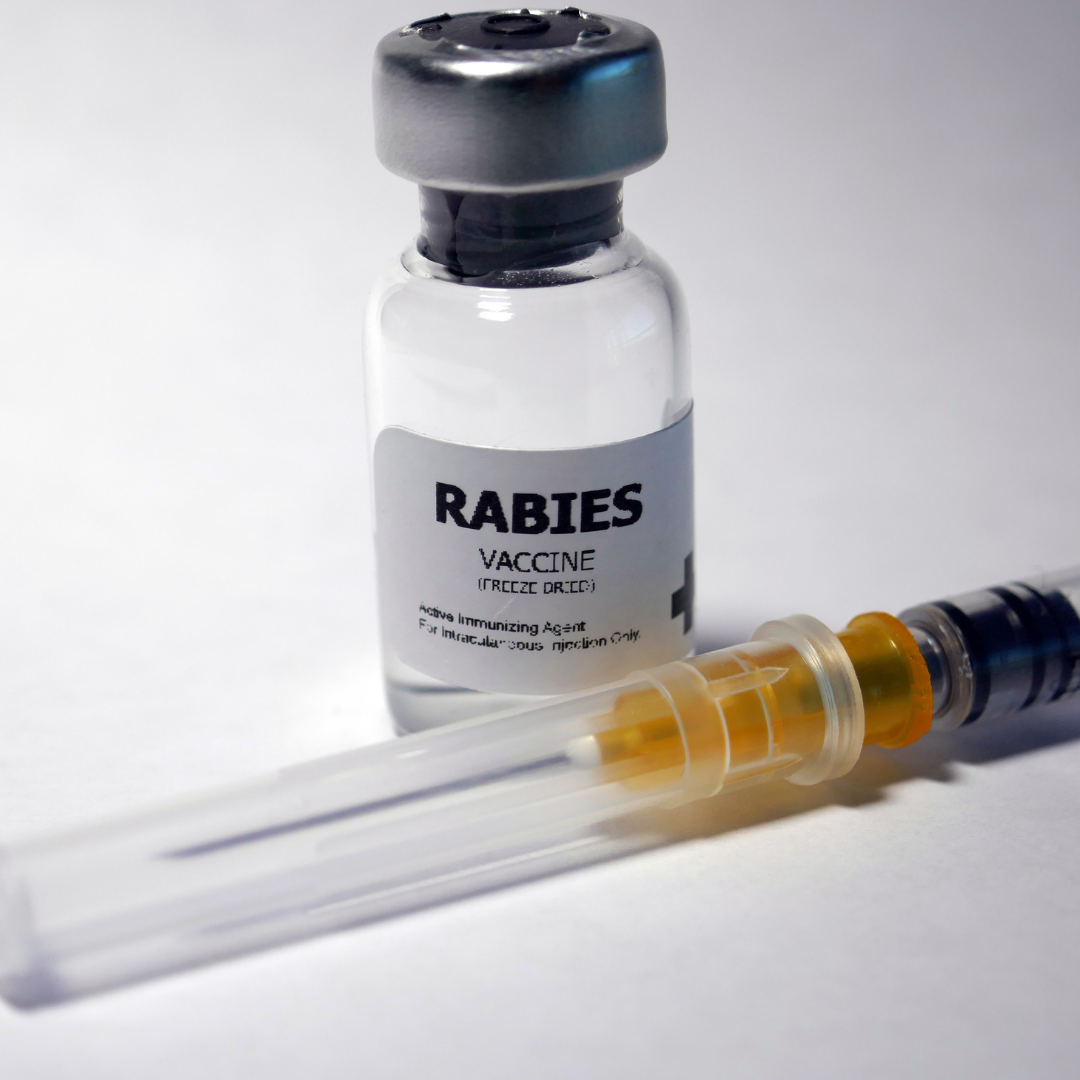 Rabies vaccine