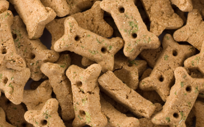National Dog Biscuit Day
