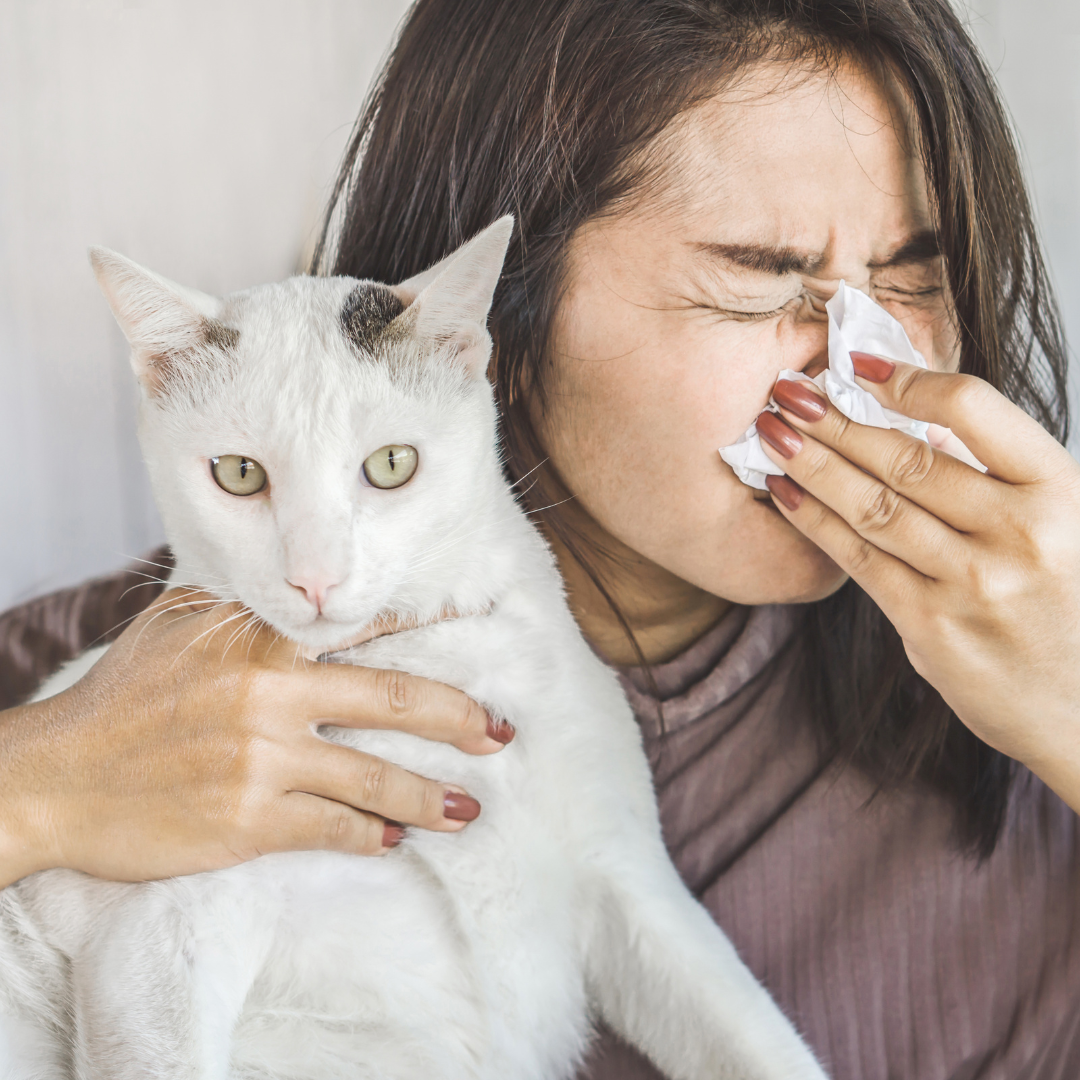 Allergic reactions to pets