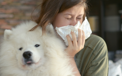 Asthma, Allergies, And Pets