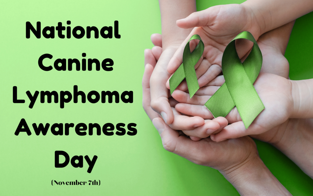 What Is Canine Lymphoma?