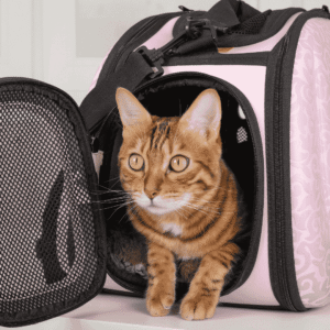 Choose The Right Carrier