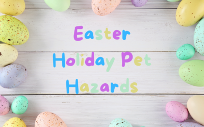 Easter Holiday Pet Hazards