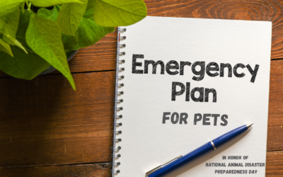 Creating An Emergency Plan For Pets