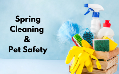 Spring Cleaning & Pet Safety