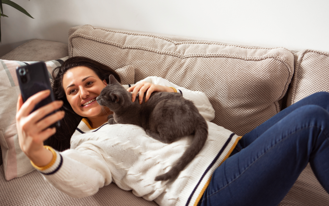 Fun Things To Do With Your Cat During Winter