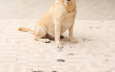 April Showers Bring Muddy Paws