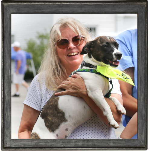 NEPA - Pet Watching Services NEPA - Pet Watching Services