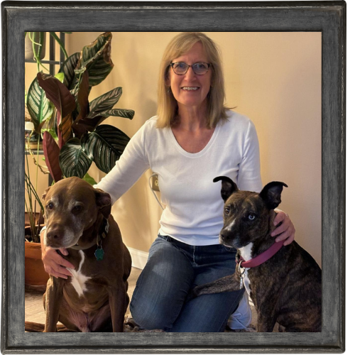 NEPA - Pet Watching Services NEPA - Pet Watching Services
