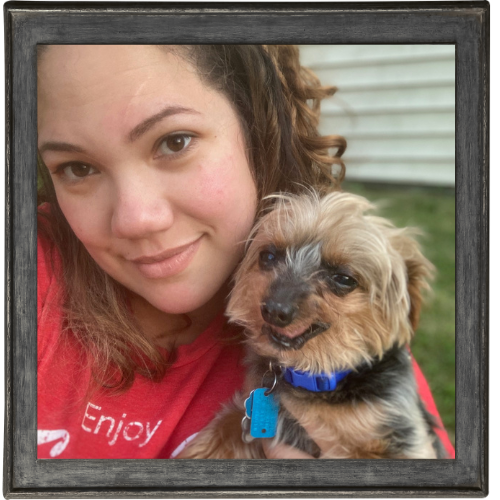 NEPA - Pet Watching Services NEPA - Pet Watching Services