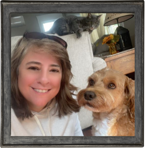 NEPA - Pet Watching Services NEPA - Pet Watching Services