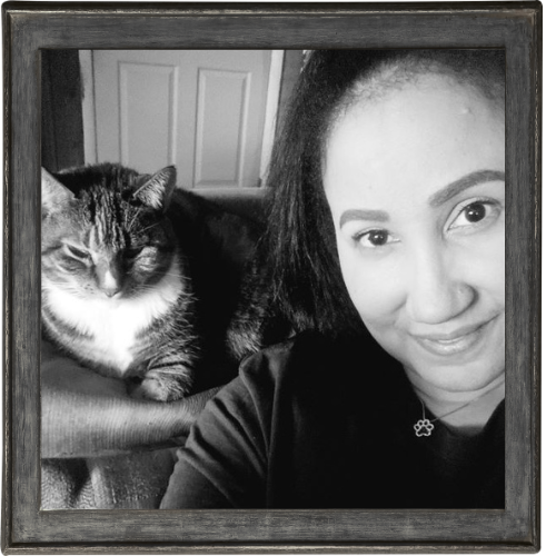 NEPA - Pet Watching Services NEPA - Pet Watching Services