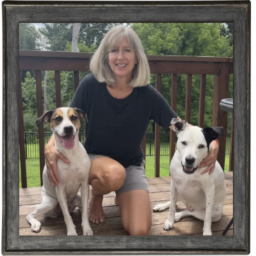NEPA - Pet Watching Services NEPA - Pet Watching Services