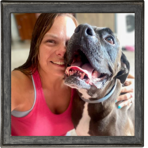 NEPA - Pet Watching Services NEPA - Pet Watching Services