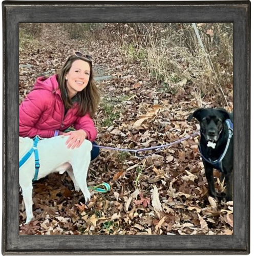 NEPA - Pet Watching Services NEPA - Pet Watching Services