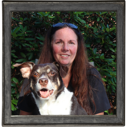 NEPA - Pet Watching Services NEPA - Pet Watching Services