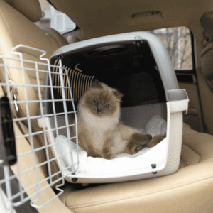 Make Post-Vet Carrier Time Positive