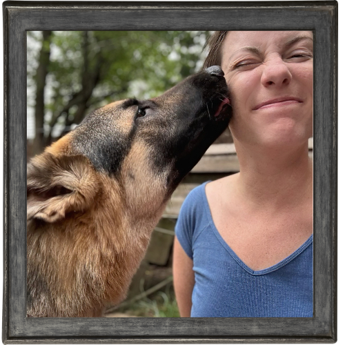 NEPA - Pet Watching Services NEPA - Pet Watching Services