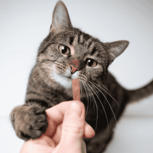 Portion Control Matters