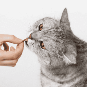 Why Limit Cat Treats?