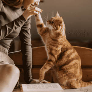 Quality Time and Observation