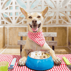 The Basics: Food, Water, Shelter... and Beyond